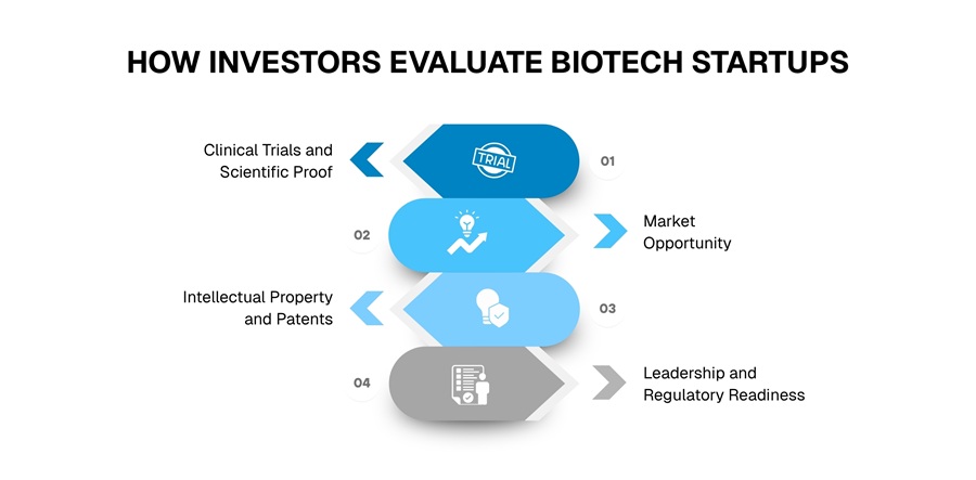How Investors Evaluate Biotech Startups